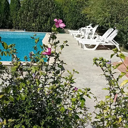 тристаен еуфория, влас Sveti Vlas