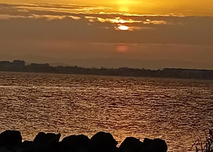 Appartamento тристаен еуфория, влас