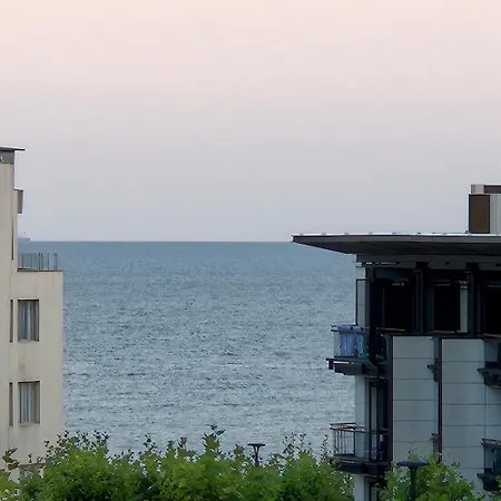 тристаен еуфория, влас